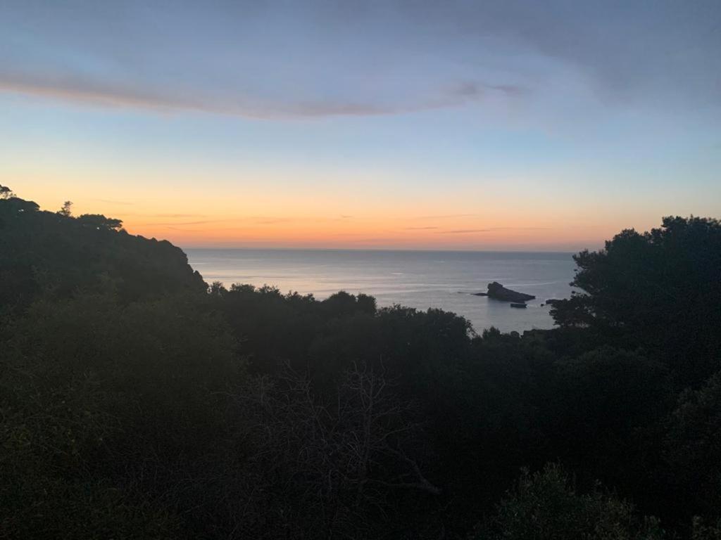 טראסיני Le Case Vacanze Di Federico מראה חיצוני תמונה